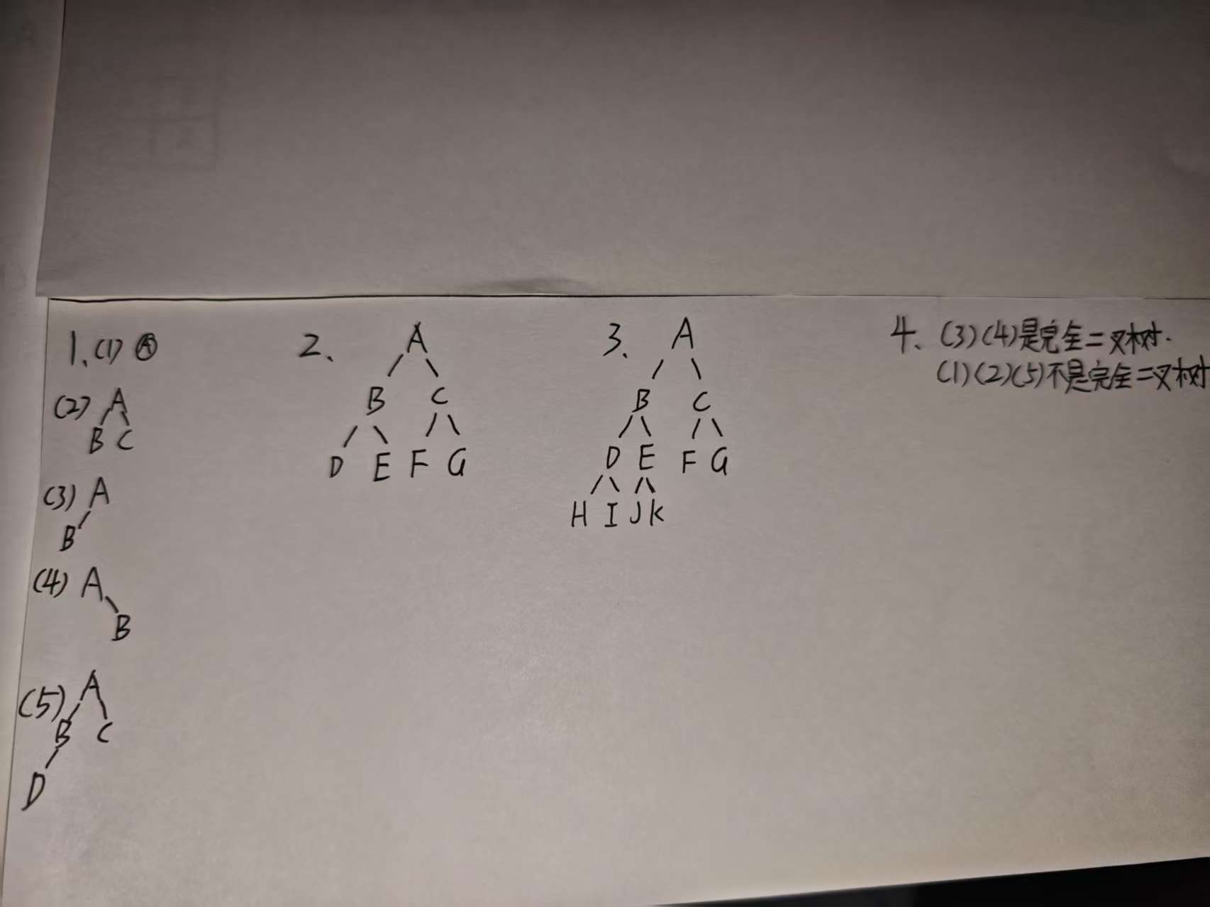 作业3