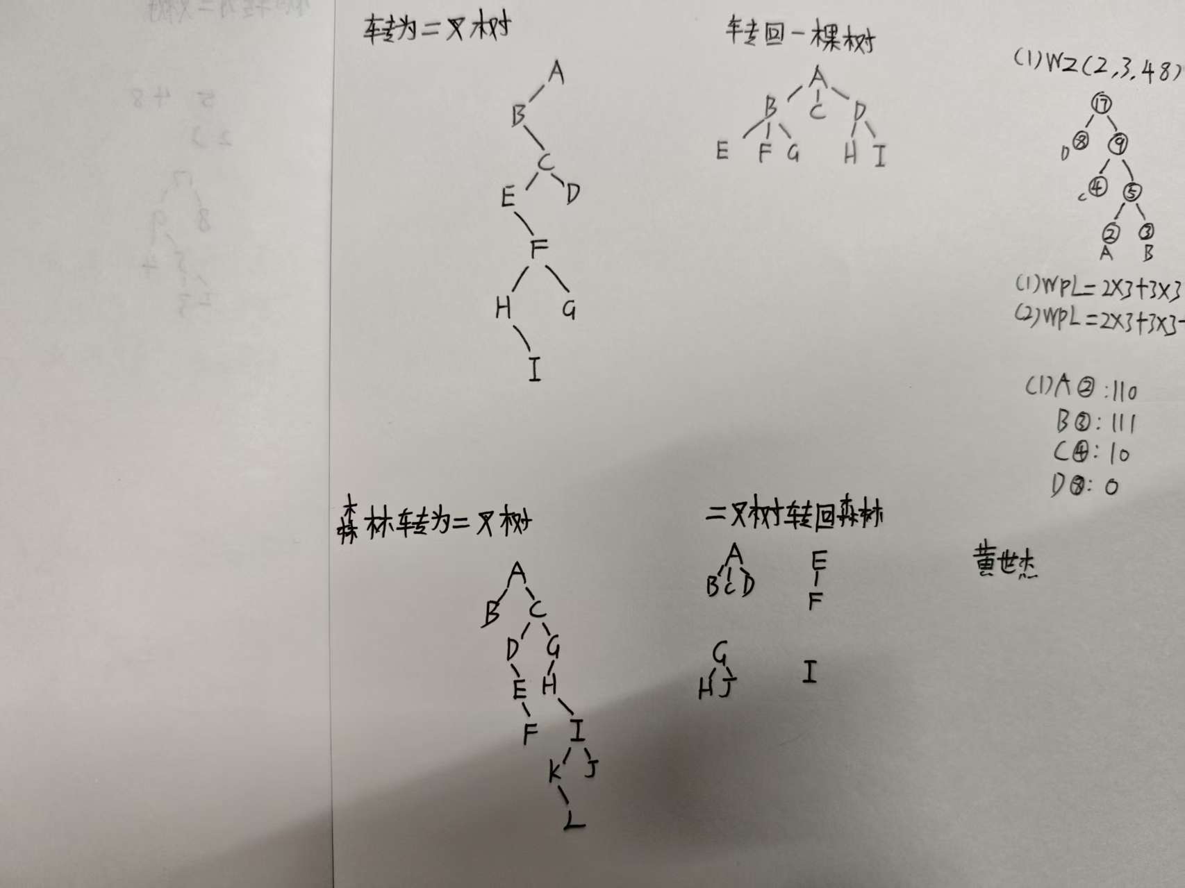 作业