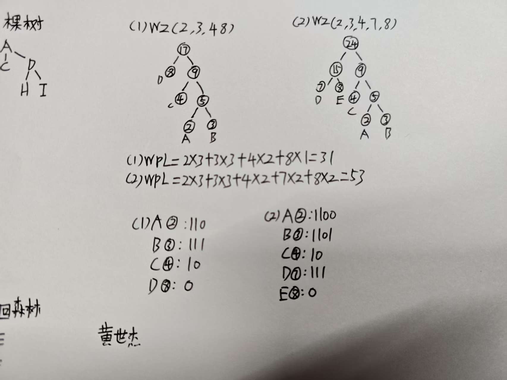 作业